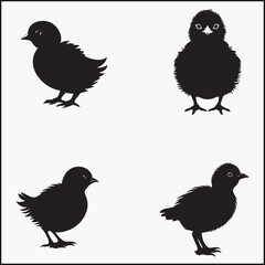 Obraz premium Chick Hatching Black silhouette