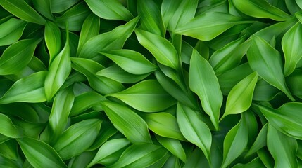 Fototapeta premium Lush green leaves overlapping in a vibrant natural setting, symbolizing growth and tranquility