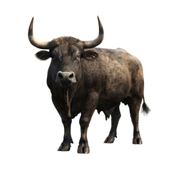 Black Bull with Large Horns isolated on transparent background