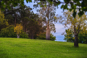Hunter Valley Gardens is in the heart of Hunter Valley wine country, located in Pokolbin, New South Wales, Australia. It opened in 2003