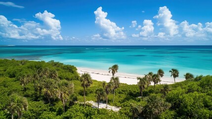 Tropical beach with clear turquoise water, palm trees, and vibrant skies, perfect for vacation planning, travel blogs, and relaxation imagery.
