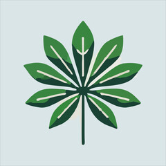 vector illustration of green leaf