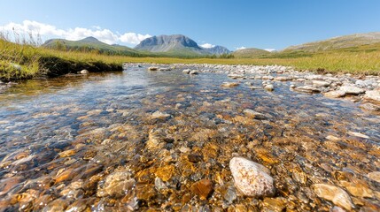 Fototapeta premium Clear stream flows, rocky bed, mountains background, summer nature scene, travel photography