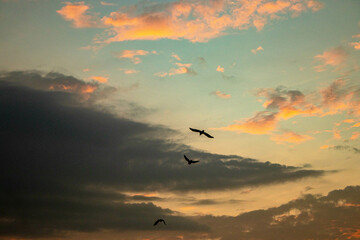 Where the sky meets infinity, dreams take flight, and the soul finds its endless horizon.