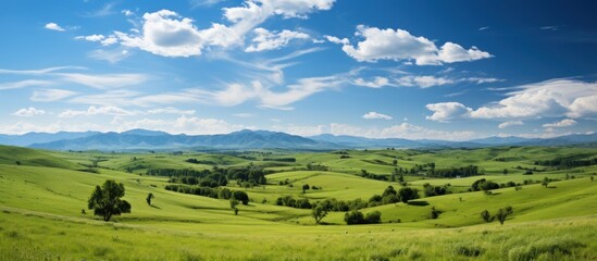 Fototapeta premium Lush Green Landscape Under Bright Blue Sky with White Clouds