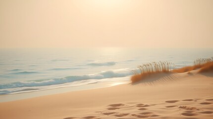 Obraz premium Coastal Beach Landscape with Footprints at Sunrise and Grass