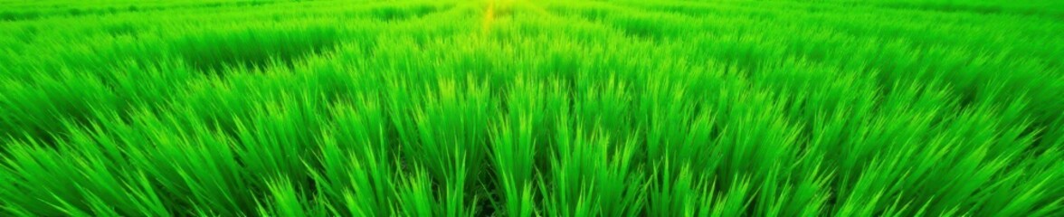 Obraz premium Drone view of lush green grass texture, vibrant meadow , image, outdoor, asset