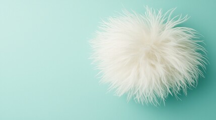 Fluffy white prop, teal backdrop, newborn photography