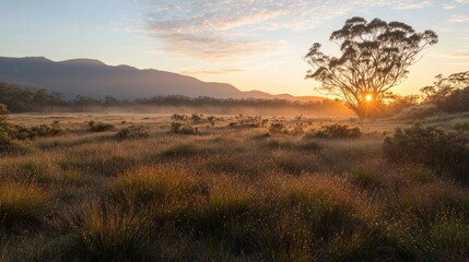 Sunrise Over Misty Meadow and Mountains