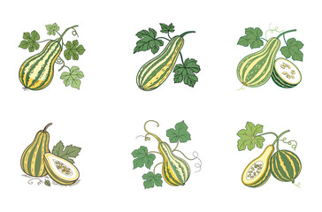 Vintage Botanical Bottle Gourd Collection
