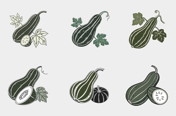 Vintage Botanical Bottle Gourd Collection
