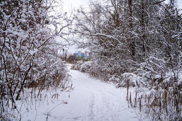 Snow-covered winter view of Toronto Islands.