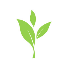 Twig icon is a green leaf, hand-drawn, isolated on white, flat design, vector. A graphic element for a logo, label, emblem, or decoration. Decorative healthy botanical sign for eco-friendly products