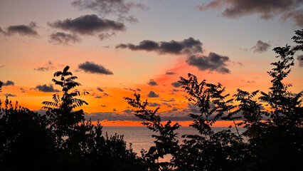 Fiery orange tones streak across the sky, silhouetting the foliage against a tranquil coastal horizon. Flecks of clouds dot the evening light, creating a dramatic backdrop to the serene waters below.