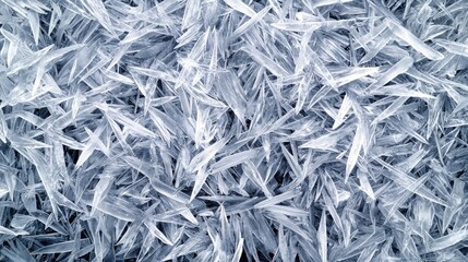 Close-up of intricate ice crystal formations creating a stunning natural pattern on a cold surface