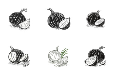 Monochrome and Colored Garlic Sketches  Vector Set
