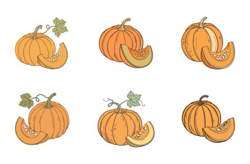"Fresh Organic Pumpkin Illustrations"
