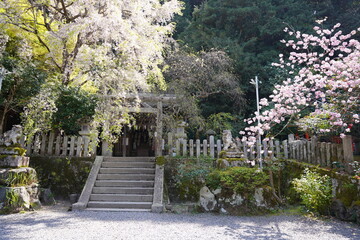 京都府に鎮座する神社仏閣と庭園など