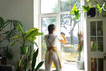 Woman in apron manually washes the window of house with rag cleaner and mop inside the interior with home plants on windowsill. Restoring order and cleanliness in the spring, cleaning servise