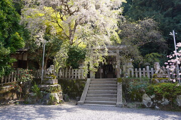 京都府に鎮座する神社仏閣と庭園など