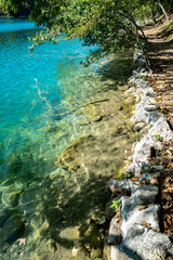Calm lake reflection. The tranquil transparent waters of lake in the background. Nature. Landscape Reflection off of a clear lake water. Beautiful colorful summer spring natural landscape with a lake.