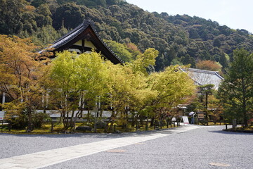 京都府に鎮座する神社仏閣と庭園など