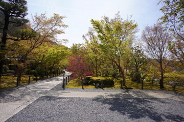京都府に鎮座する神社仏閣と庭園など