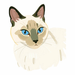Illustration Siamese Cat Blue Eyes Isolated Background for Pet Journaling