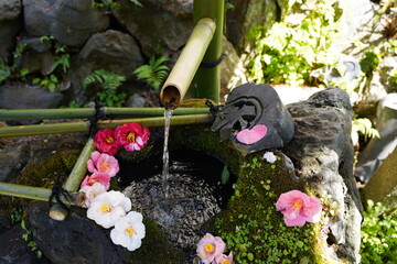京都府に鎮座する神社仏閣と庭園など