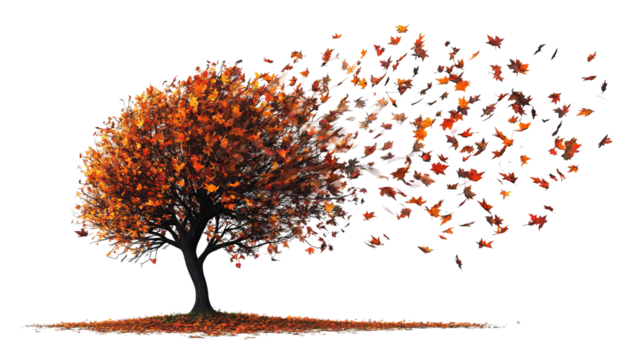 Autumn Maple Tree with Blowing Leaves