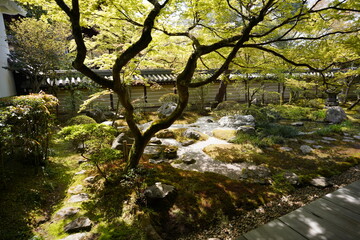 京都府に鎮座する神社仏閣と庭園など