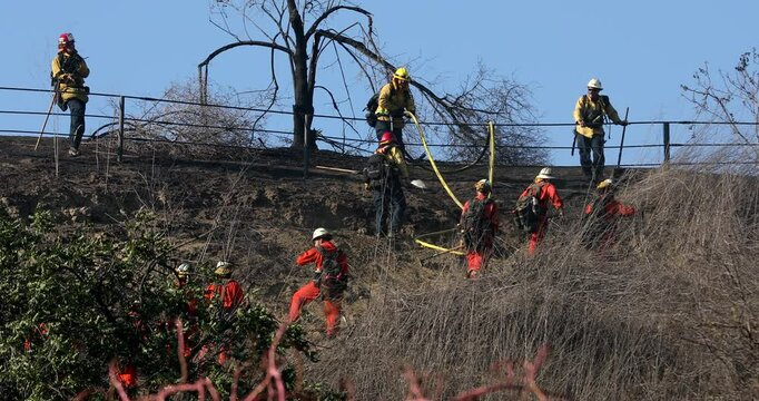 Brea, California, USA - October 3, 2021: Incarcerated Firefighters walk on a fire line fighting a wildfire.