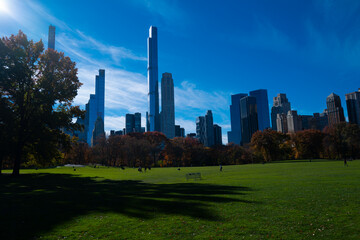 Obraz premium Central Park New York City. NYC Central Park skyline. Famous Central Park in NYC. Urban garden in New York. Skyscrapers near Central Park. New York City landscape. NYC urban nature.