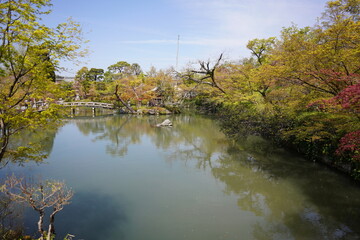 京都府に鎮座する神社仏閣と庭園など