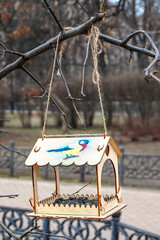 bird feeder with seeds on a tree branch in the park