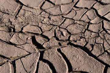 Cracked Earth Texture - Drought and Climate Change Concept