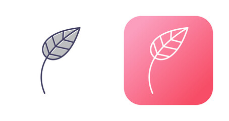 Leaf Vector Icon