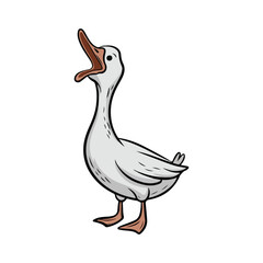 Domestic Duck Quacking vector art illustration, isolated