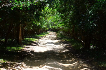 Amazing Wild Life of Sri Lanka