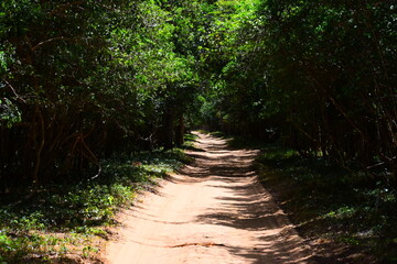 Amazing Wild Life of Sri Lanka