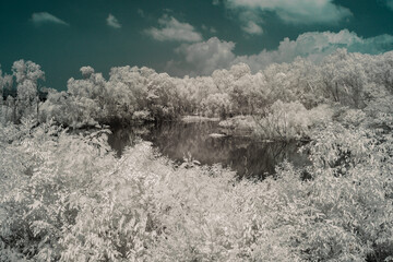 A serene infrared photograph depicts a tranquil pond nestled within a lush, snow-like forest under...