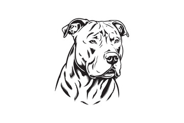 Realistic Pitbull Portrait in Black and White vector