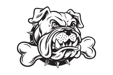 Fototapeta premium Angry Bulldog with Spiked Collar and Bones vector