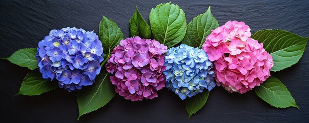 Detailed closeup of a vibrant sushi platter, arranged on sleek black slate, highlighting freshness and textures, meticulous presentation