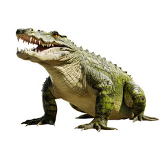 Obraz premium American Alligator: A formidable American alligator, with its powerful jaws agape and piercing eyes, sits low to the ground, demonstrating its raw power and prehistoric presence.