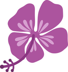 Illustration of Hibiscus Flower