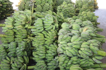 A fresh market is a place where consumers can purchase fresh, locally sourced, and seasonal food...