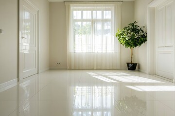 Fototapeta premium Bright, spacious room with a window. Houseplant near a window, sun shining through