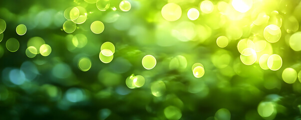 Obraz premium Sunlit green bokeh forest background