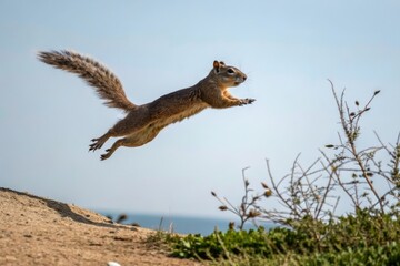 Squirrel leaping through the air with outstretched arms, forest acrobatics, natural scenery